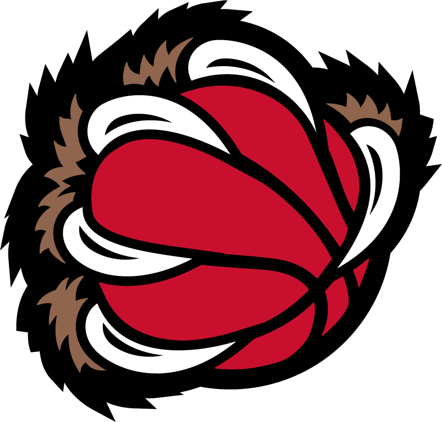Memphis Grizzlies 2001-2004 Alternate Logo iron on transfers for fabric version 2
